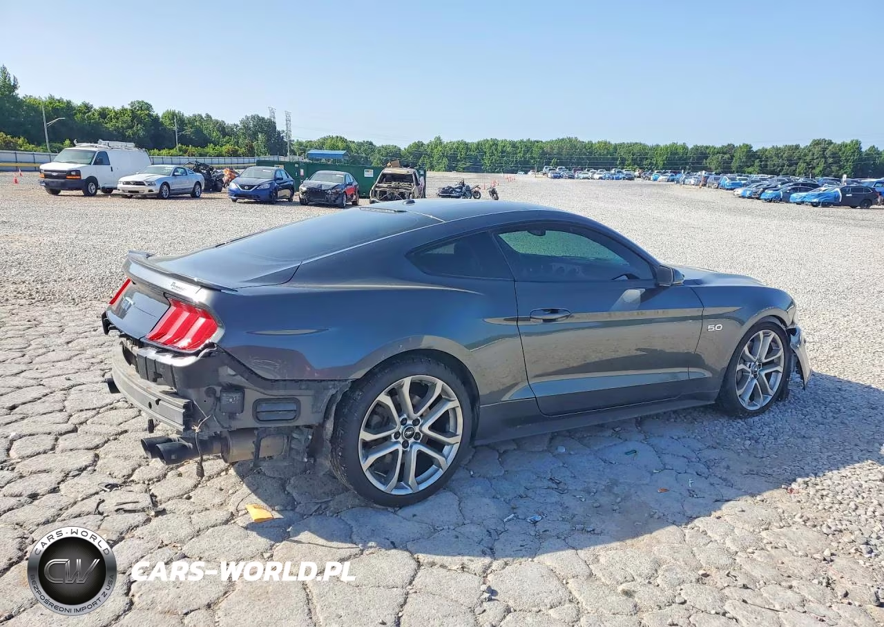 2019 Ford Mustang Gt VIN:1FA6P8CF1K5189550 - 3