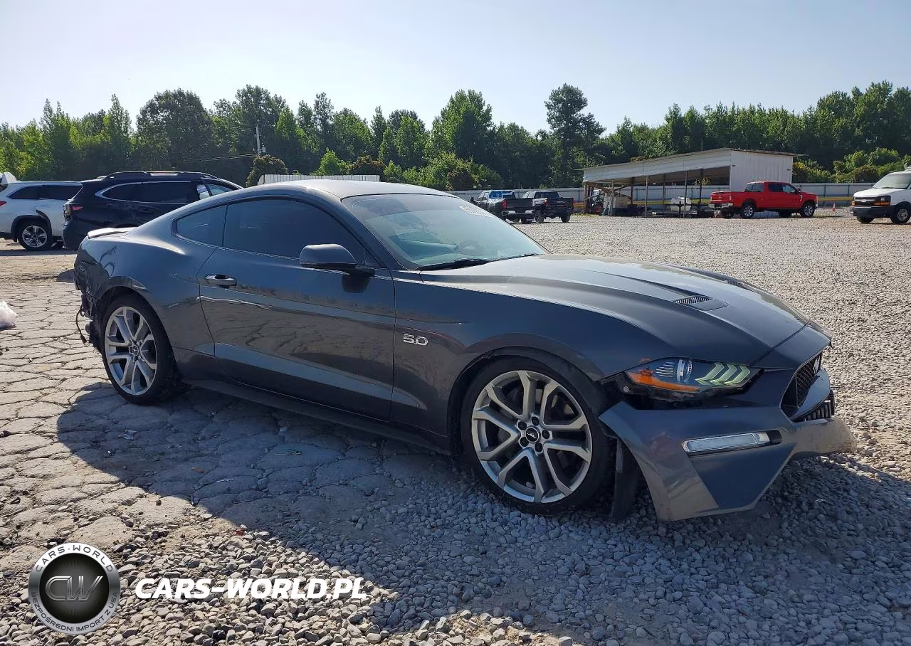 2019 Ford Mustang Gt VIN:1FA6P8CF1K5189550 - 4