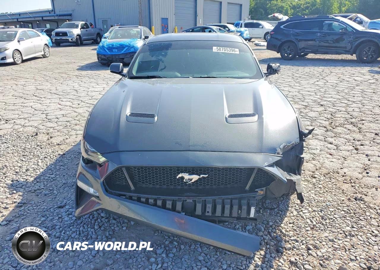 2019 Ford Mustang Gt VIN:1FA6P8CF1K5189550 - 5