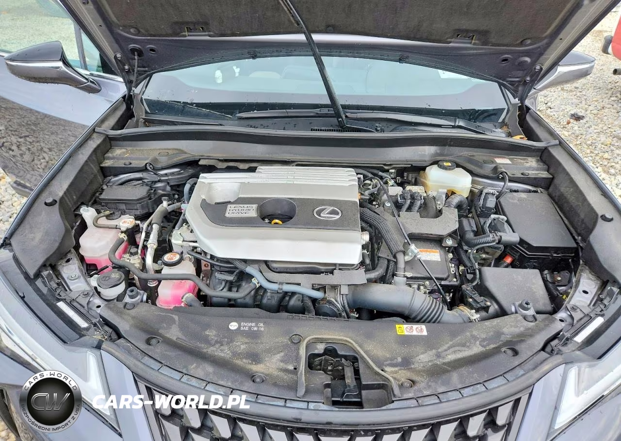 2021 Lexus Ux 250H VIN:JTHP9JBH1M2051478 - 11