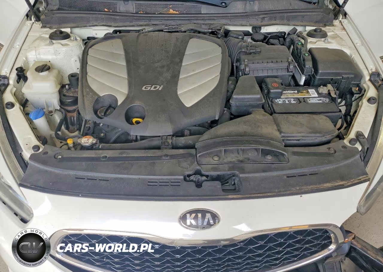 2014 Kia Cadenza Limited VIN:KNALN4D76E5144821 - 11