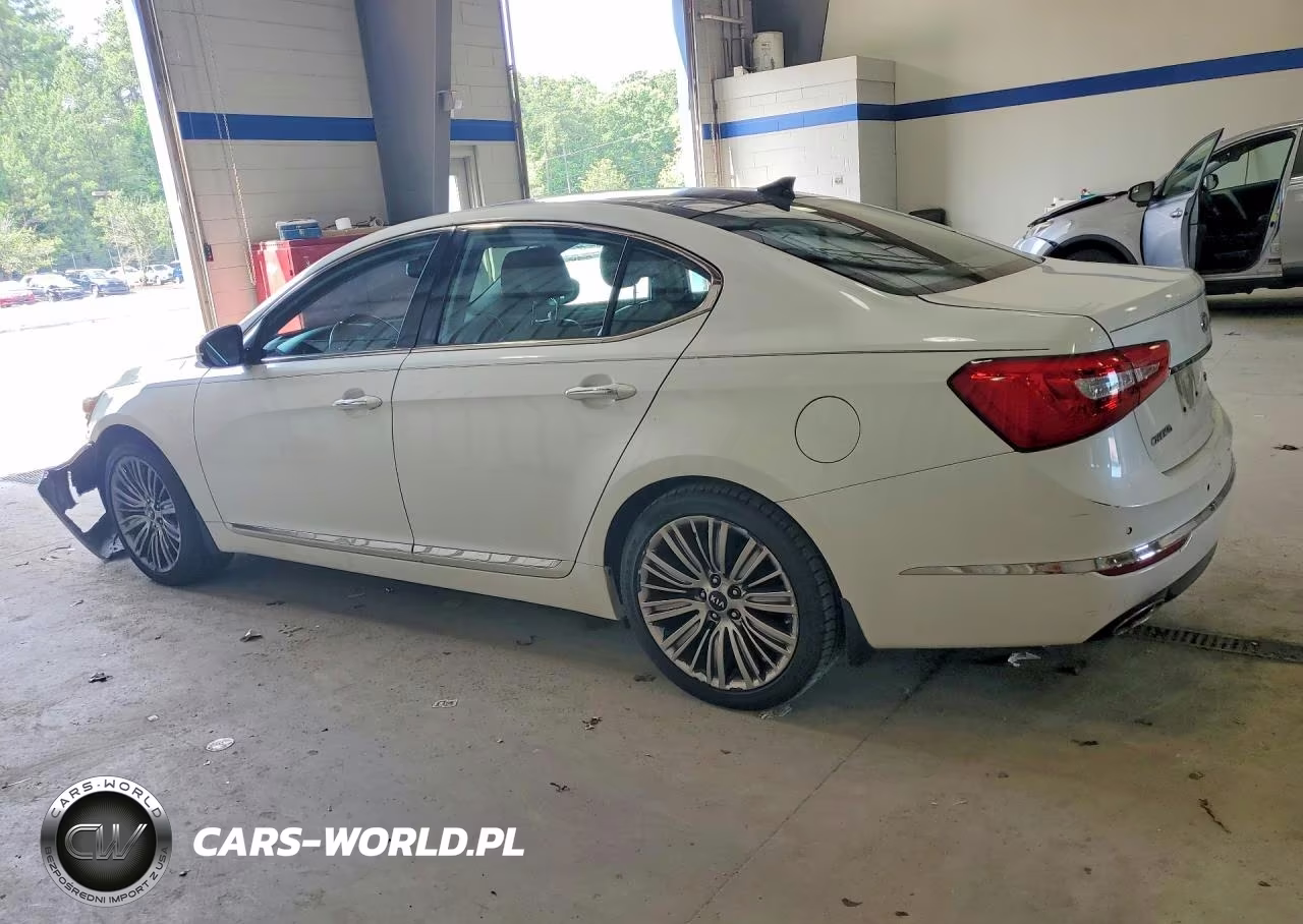 2014 Kia Cadenza Limited VIN:KNALN4D76E5144821 - 2