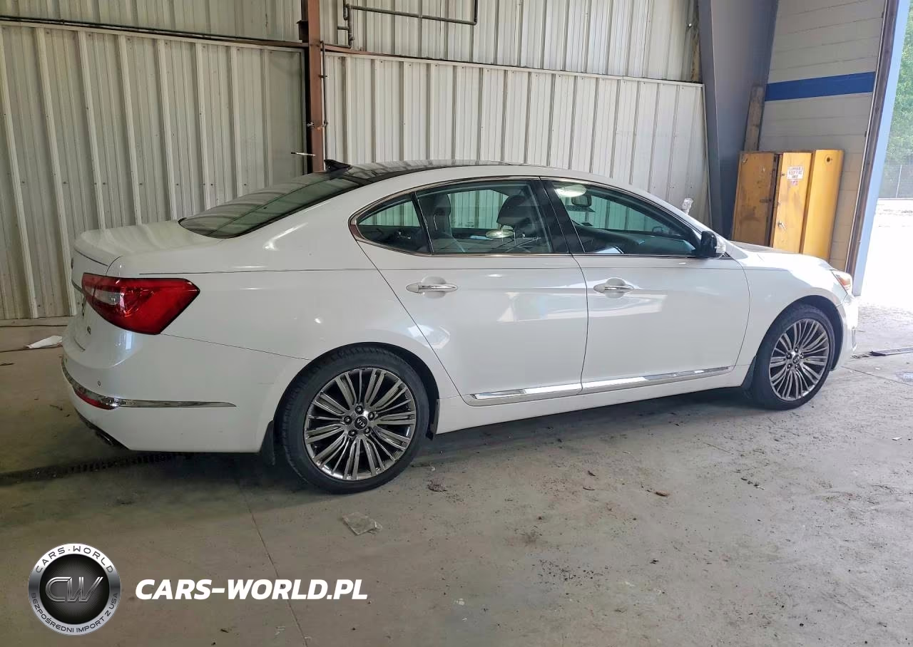 2014 Kia Cadenza Limited VIN:KNALN4D76E5144821 - 3