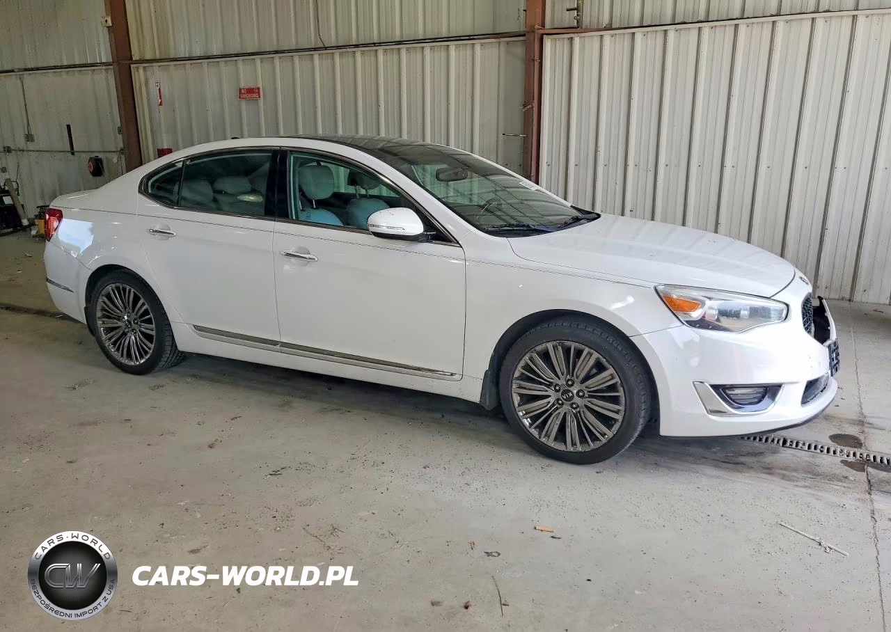 2014 Kia Cadenza Limited VIN:KNALN4D76E5144821 - 4