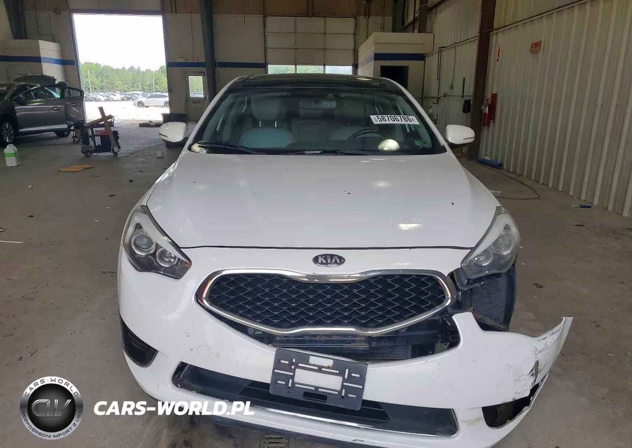 2014 Kia Cadenza Limited VIN:KNALN4D76E5144821 - 5