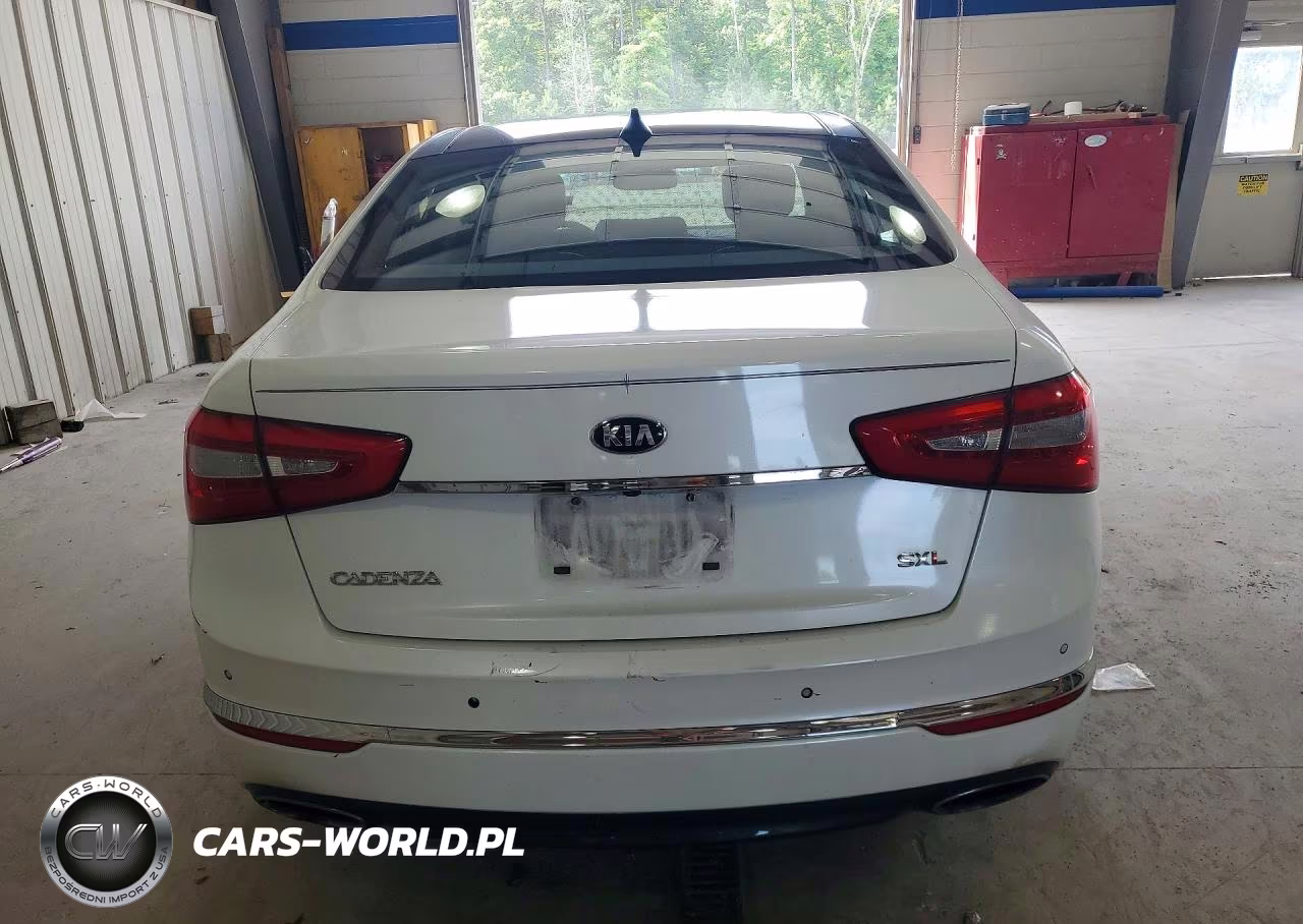 2014 Kia Cadenza Limited VIN:KNALN4D76E5144821 - 6