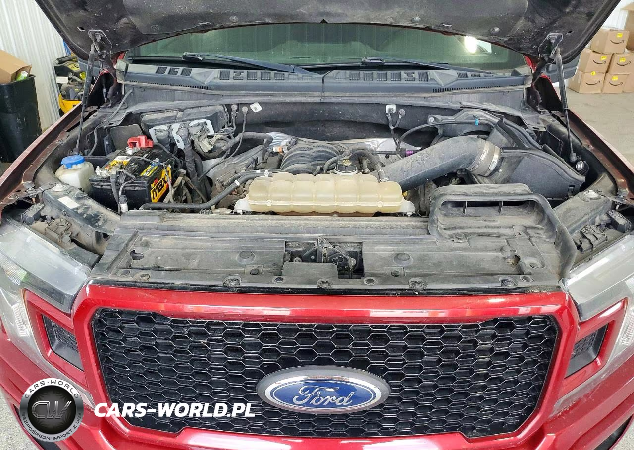 2019 Ford F150 Supercrew VIN:1FTEW1E55KFC18207 - 11