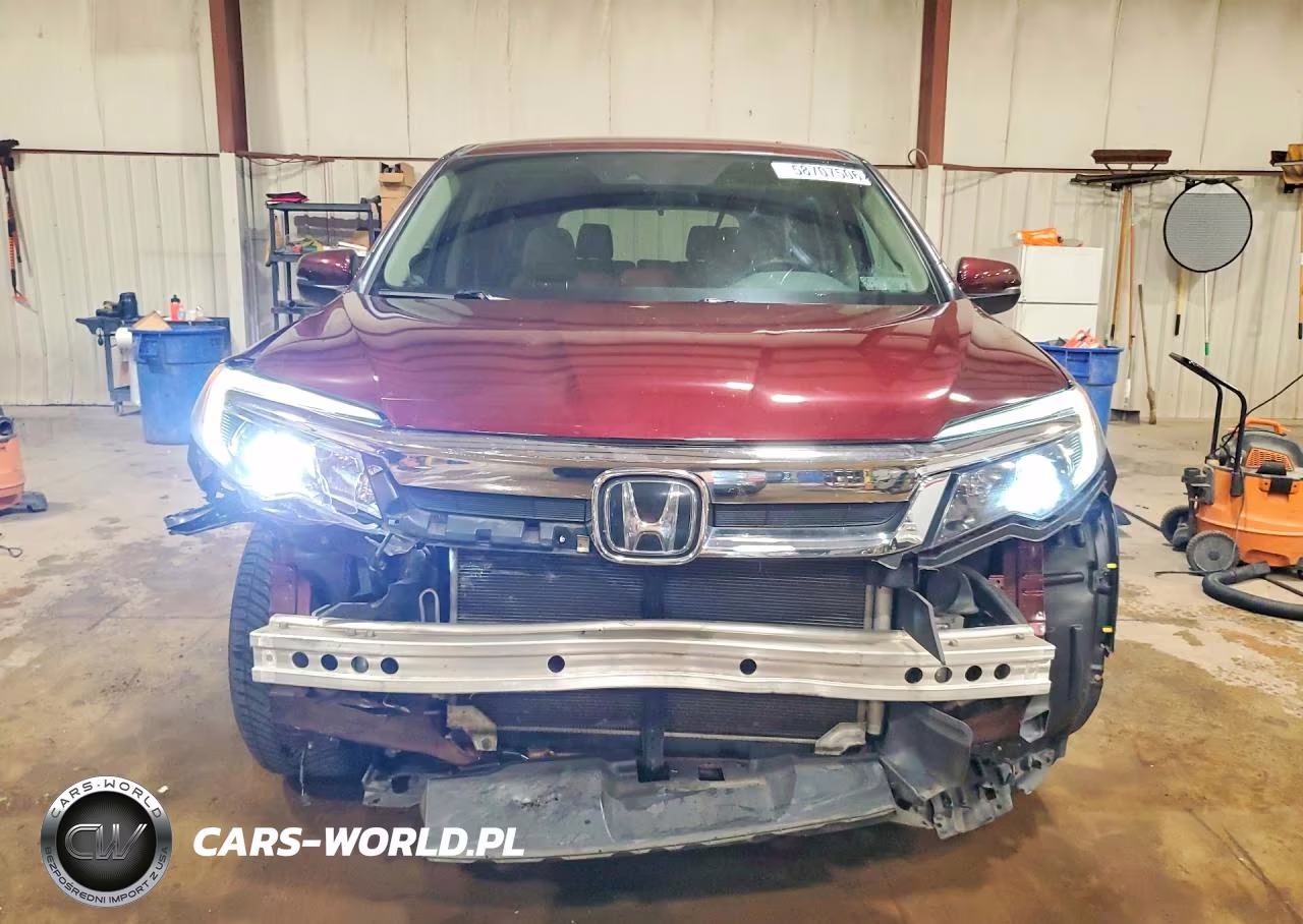2019 Honda Pilot Ex VIN:5FNYF6H38KB097553 - 5
