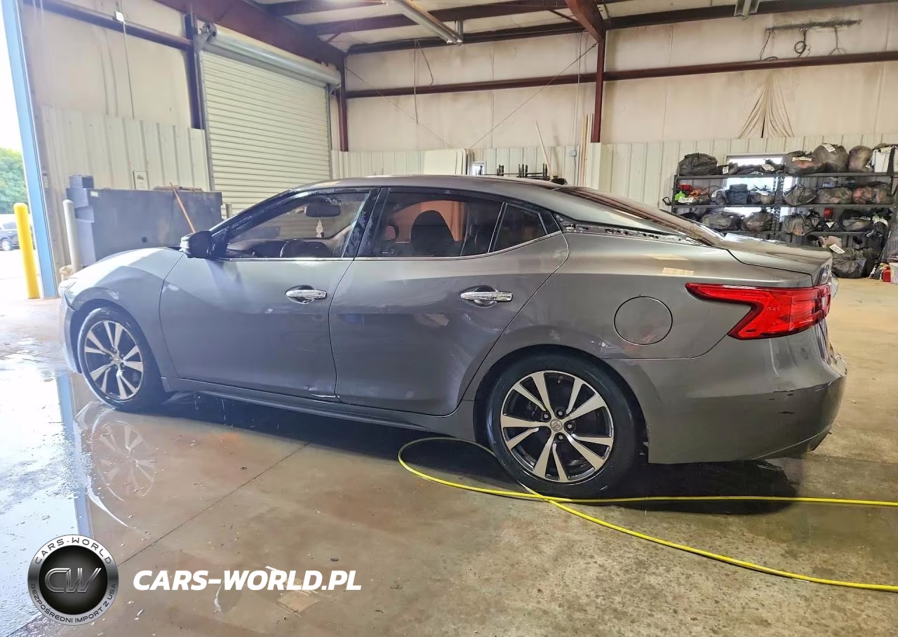 2017 Nissan Maxima Platinum VIN:1N4AA6AP1HC447789 - 2