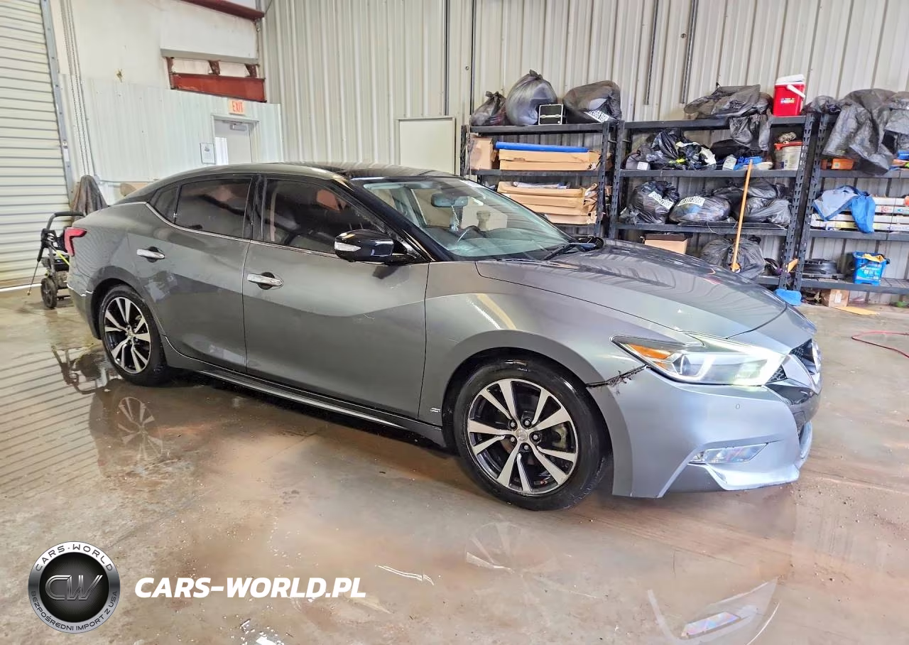 2017 Nissan Maxima Platinum VIN:1N4AA6AP1HC447789 - 4