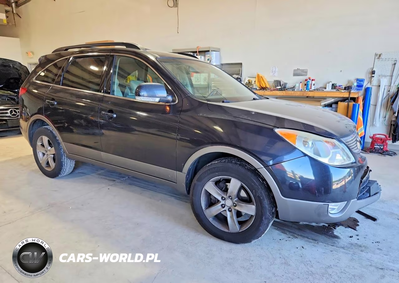 2009 Hyundai Veracruz Gls VIN:KM8NU13C09U079595 - 4
