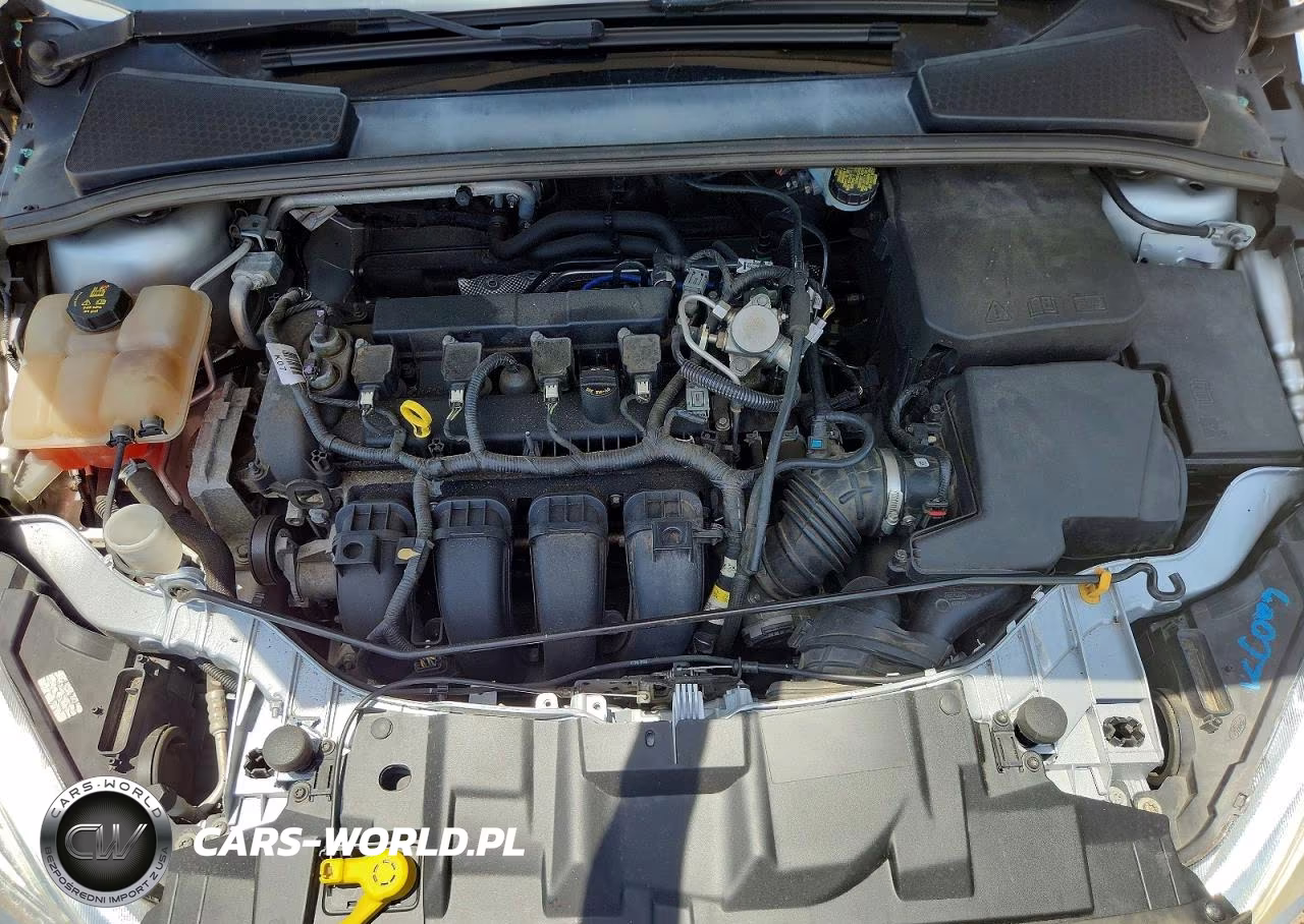 2016 Ford Focus Se VIN:1FADP3K28GL402862 - 11