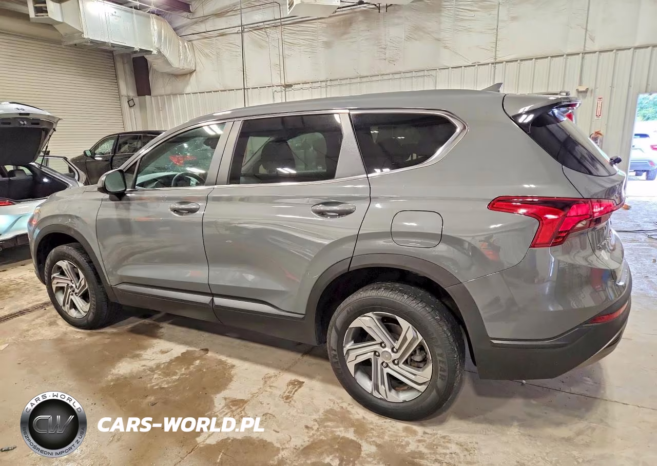 2021 Hyundai Santa Fe Se VIN:5NMS1DAJ1MH352434 - 2
