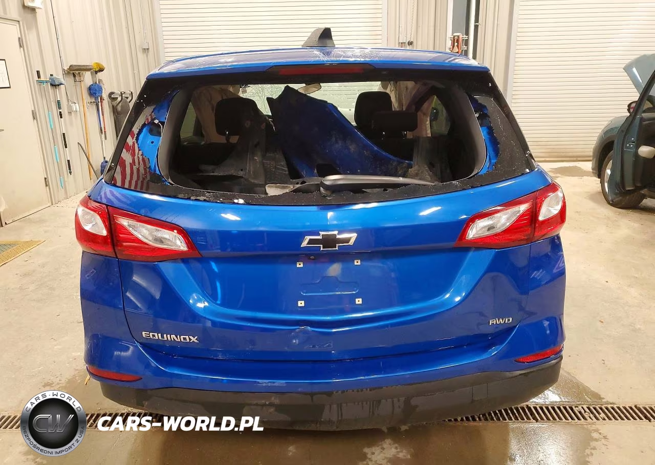 2019 Chevrolet Equinox Ls VIN:3GNAXSEV1KS522042 - 6