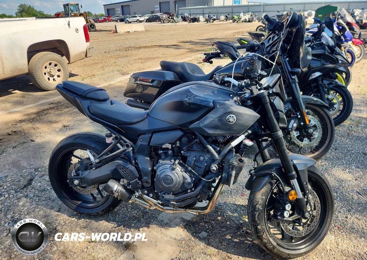2025 Yamaha Mtn690 C