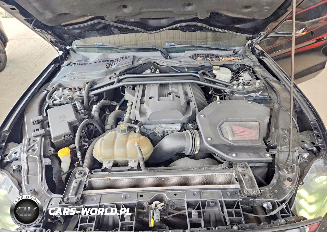2019 Ford Mustang VIN:1FA6P8TH5K5188659 - 11