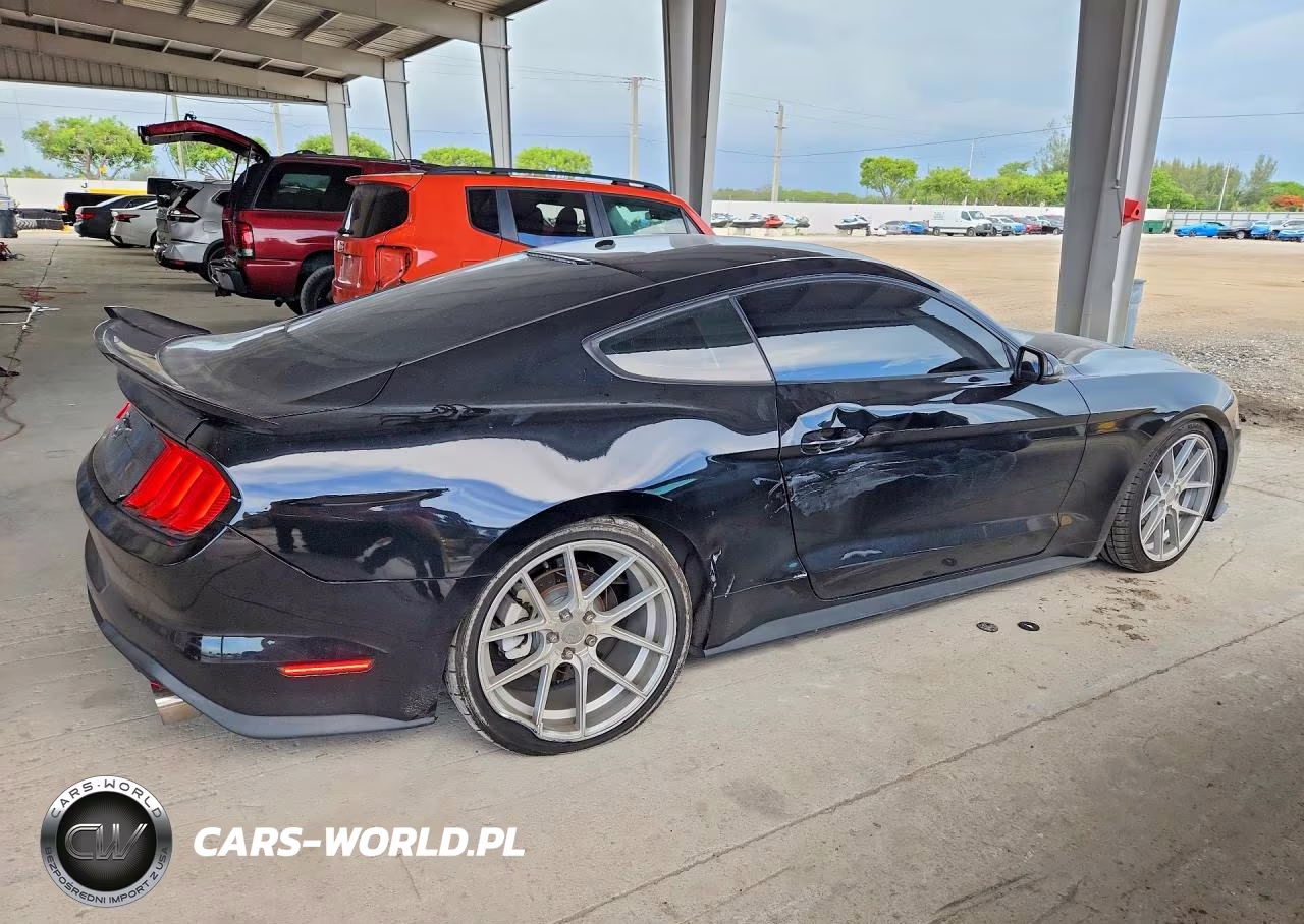 2019 Ford Mustang VIN:1FA6P8TH5K5188659 - 3