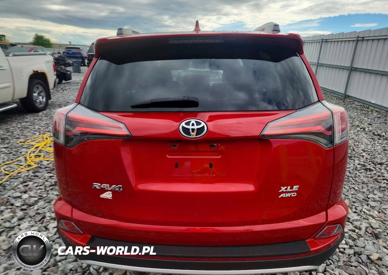 2016 Toyota Rav4 Xle VIN:2T3RFREV3GW534209 - 6
