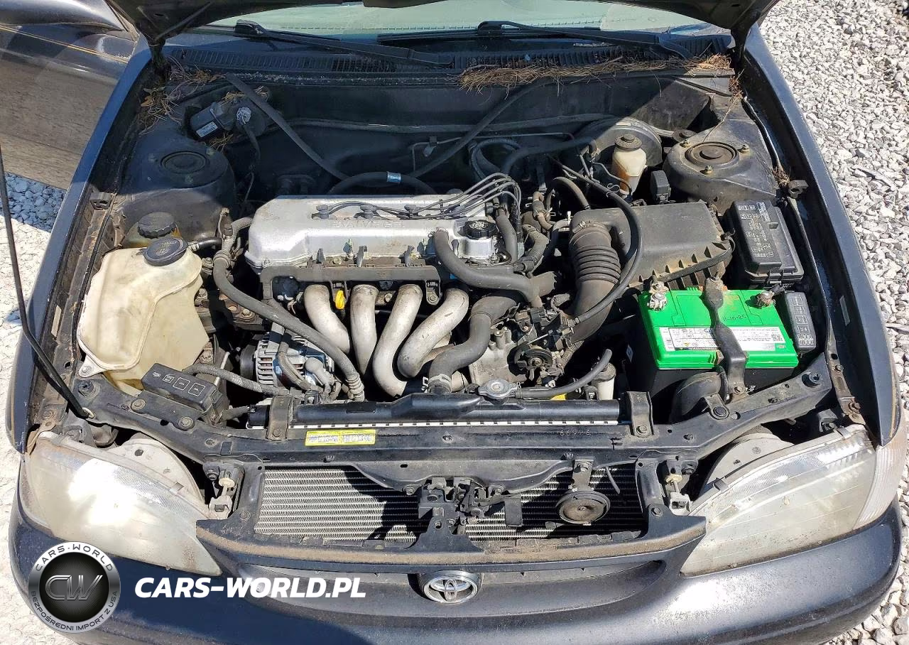 1998 Toyota Corolla Ve VIN:1NXBR12E1WZ124207 - 11