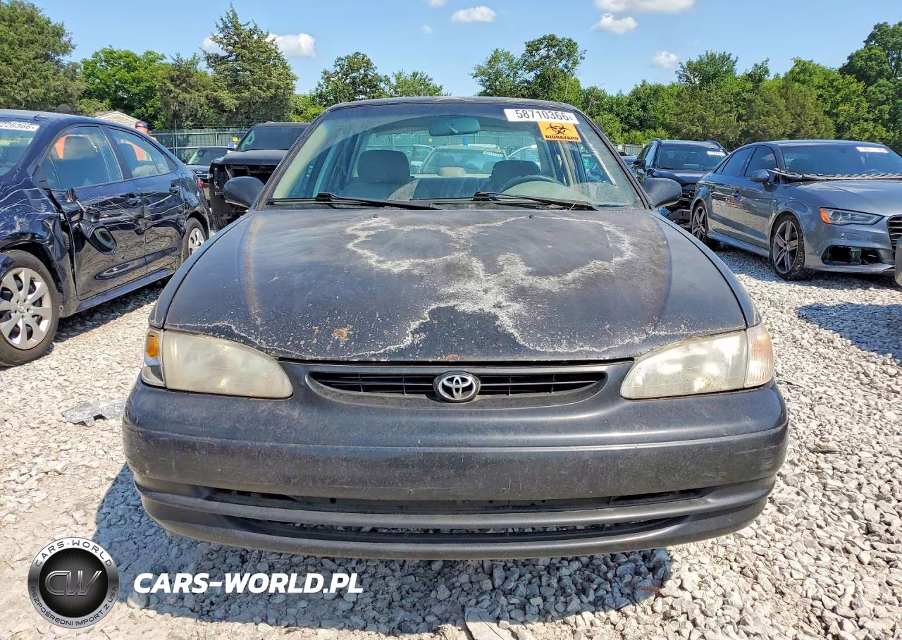 1998 Toyota Corolla Ve VIN:1NXBR12E1WZ124207 - 5