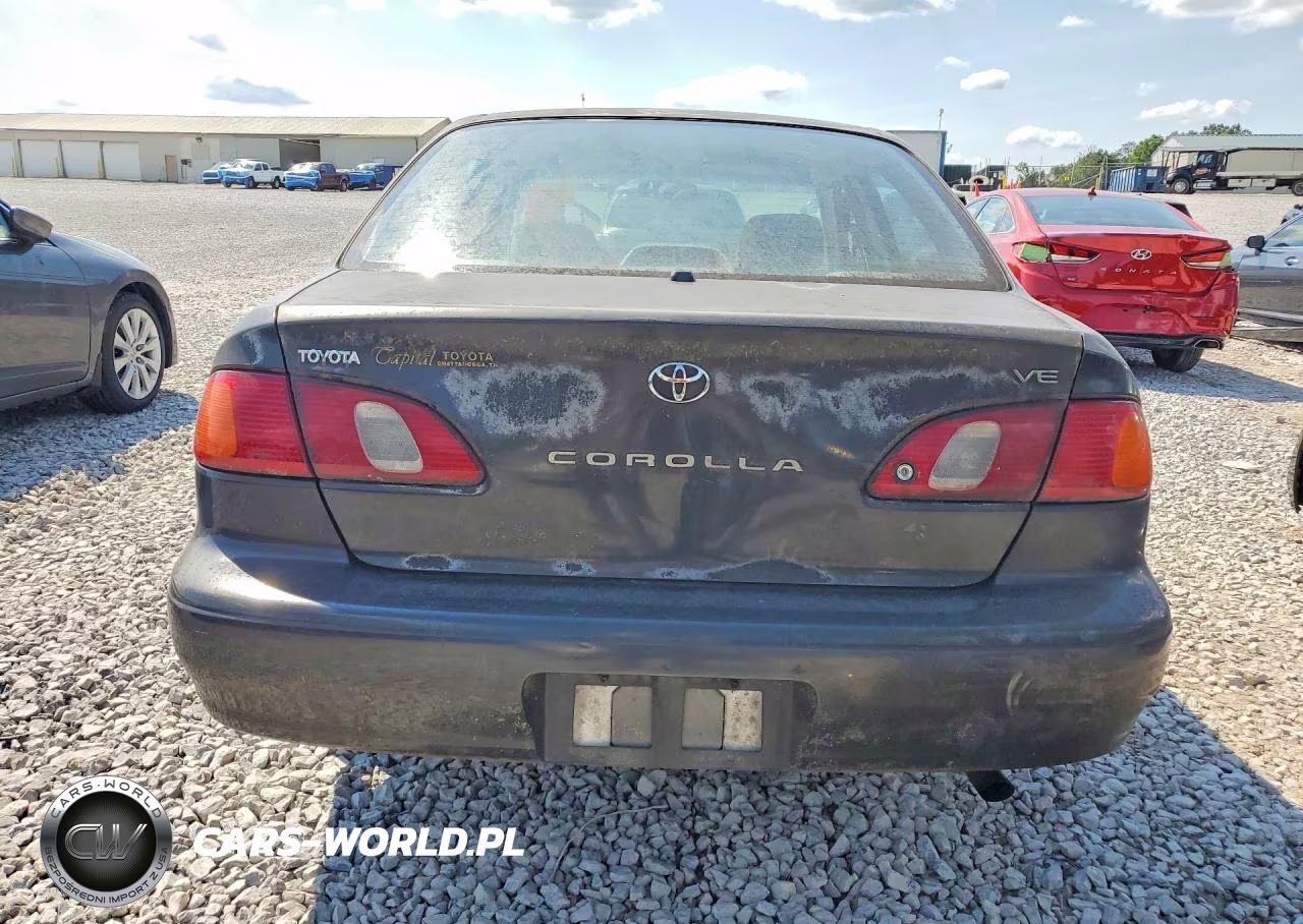 1998 Toyota Corolla Ve VIN:1NXBR12E1WZ124207 - 6