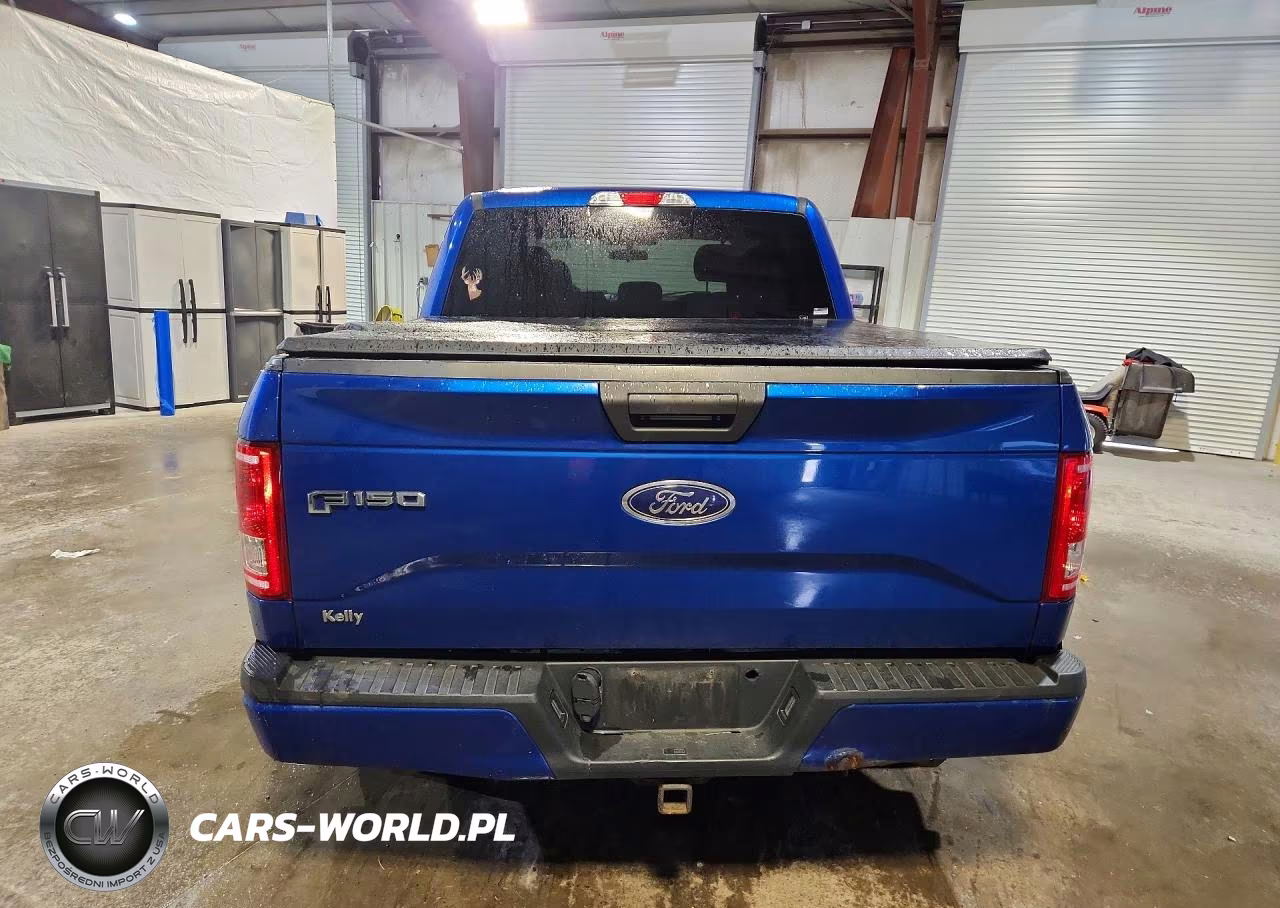 2017 Ford F150 Supercrew VIN:1FTEW1EP0HFC27696 - 6