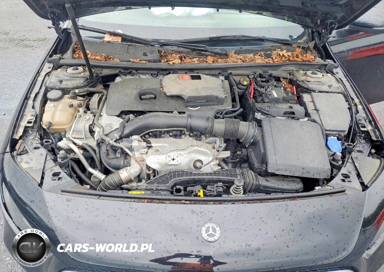 2019 Mercedes-Benz A 220 4Matic VIN:WDD3G4FB1KW022247 - 11