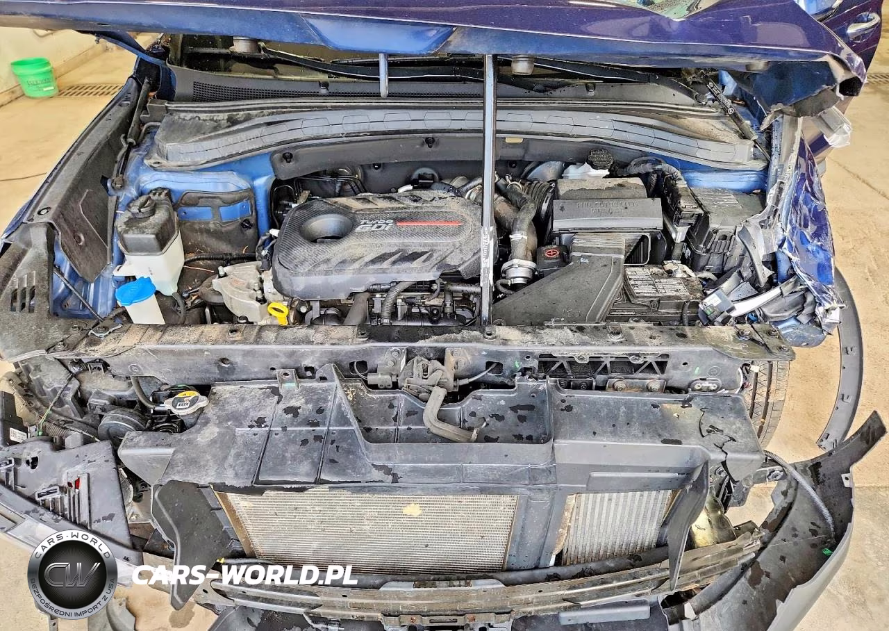 2020 Hyundai Santa Fe Sel 2.0T VIN:5NMS3CAA6LH259279 - 12