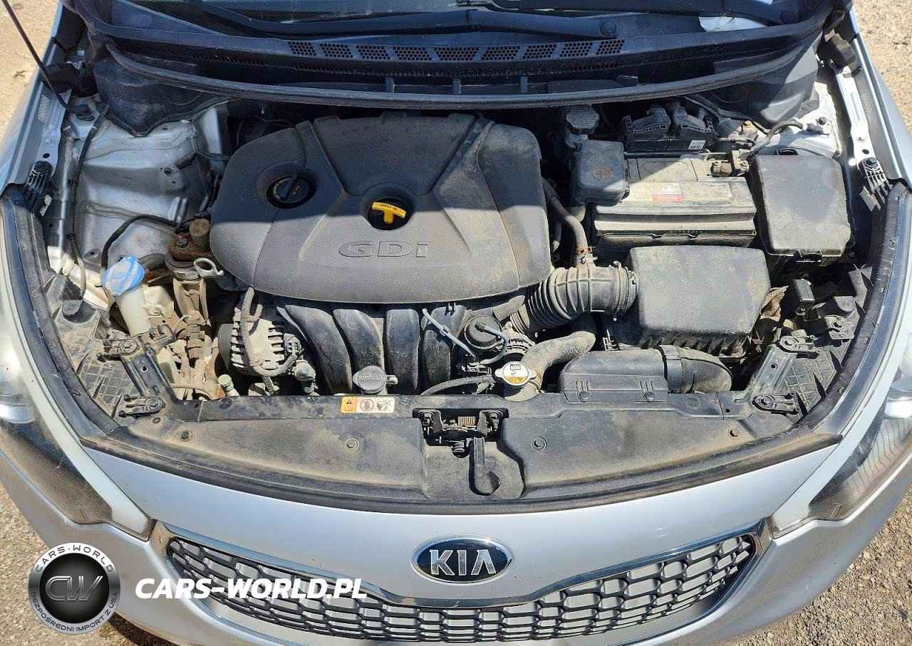 2016 Kia Forte Lx VIN:KNAFK5A84G5524414 - 11