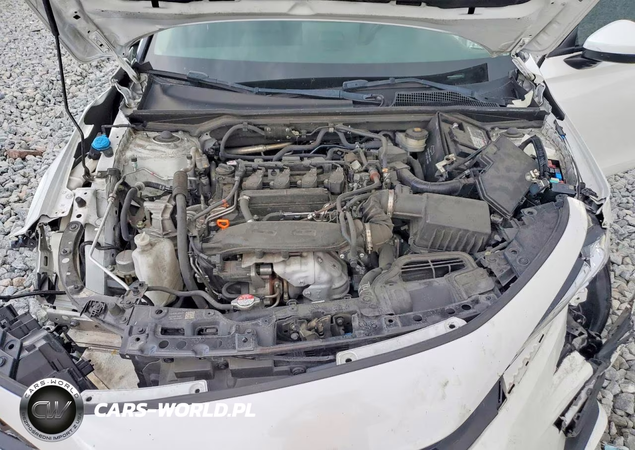 2024 Honda Civic Exl VIN:19XFL1H75RE016336 - 11