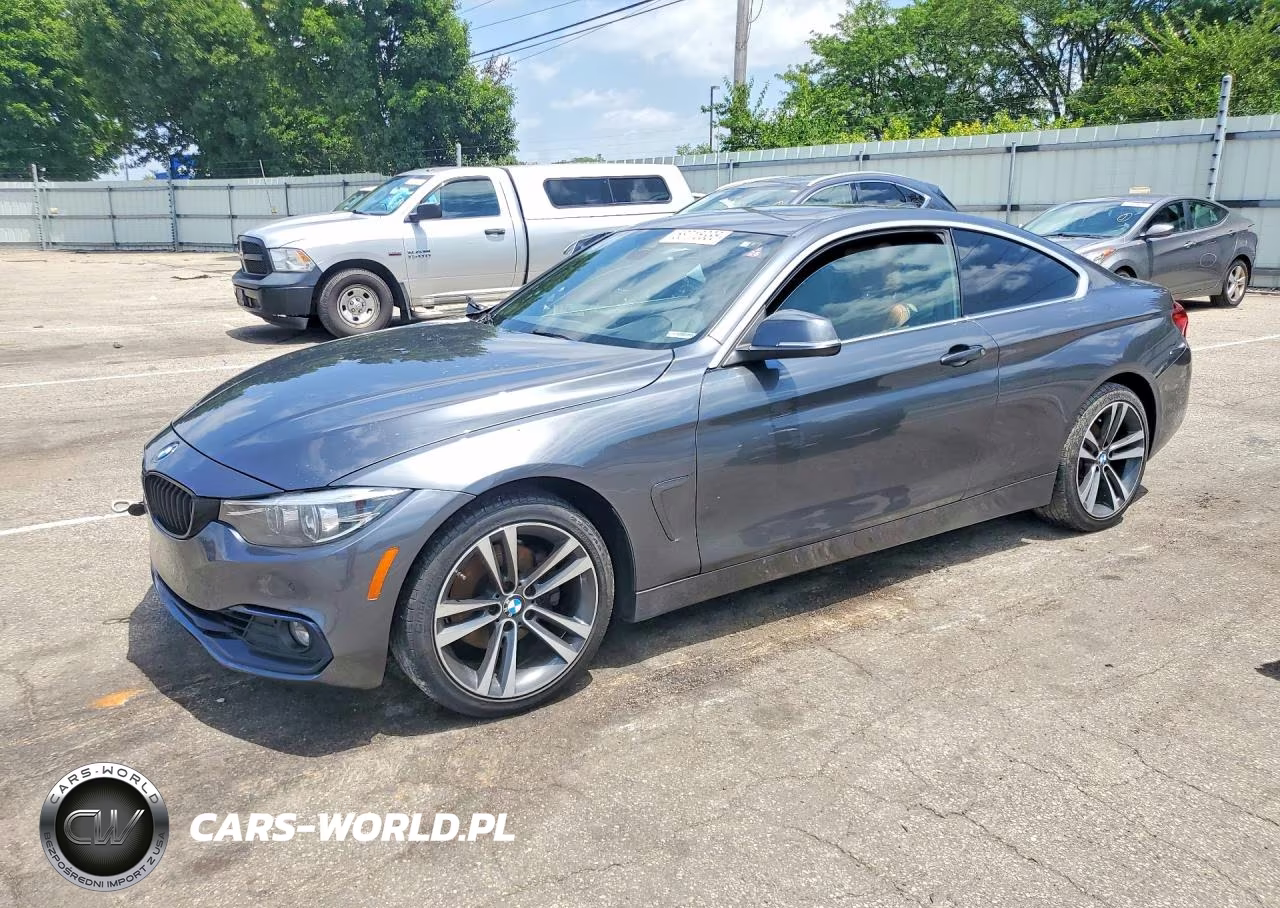 2020 BMW 430Xi VIN:WBA4W5C00LFH33143 - 1