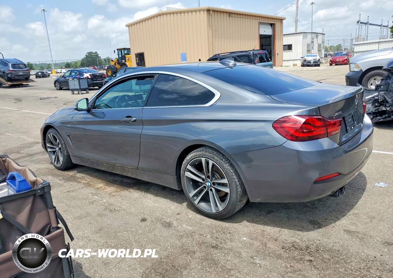 2020 BMW 430Xi VIN:WBA4W5C00LFH33143 - 2