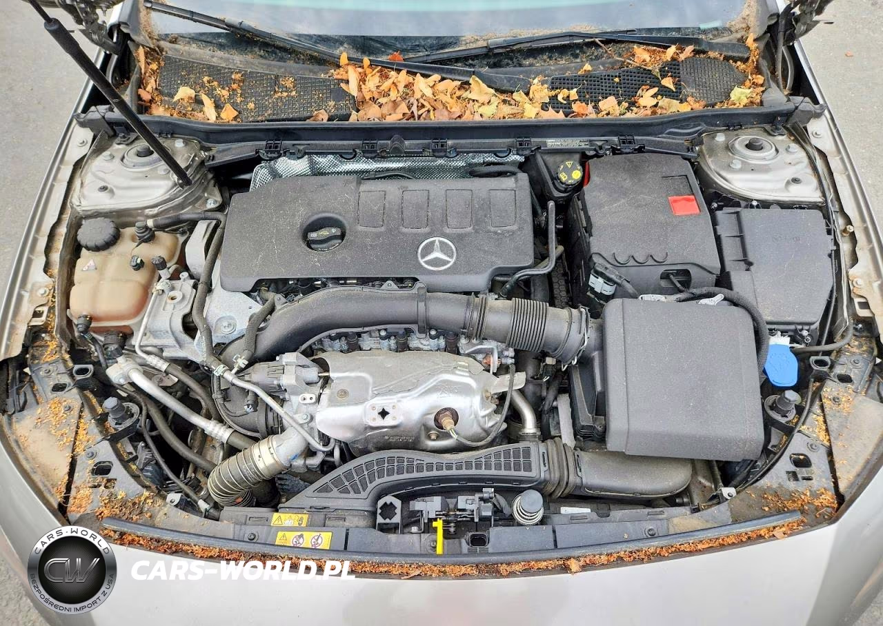 2019 Mercedes-Benz A 220 4Matic VIN:WDD3G4FB6KW031333 - 11