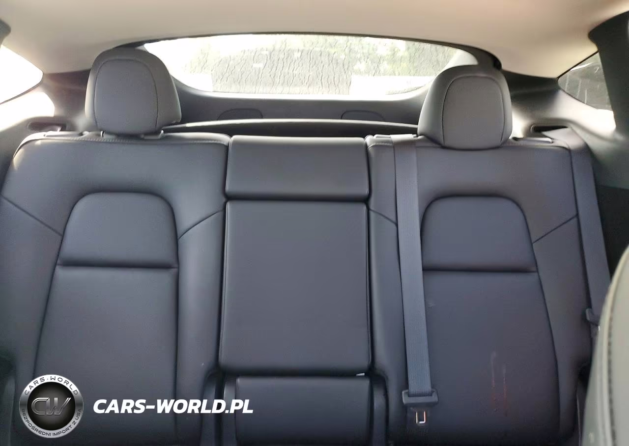 2024 Tesla Model Y VIN:7SAYGDEE8RF084984 - 10