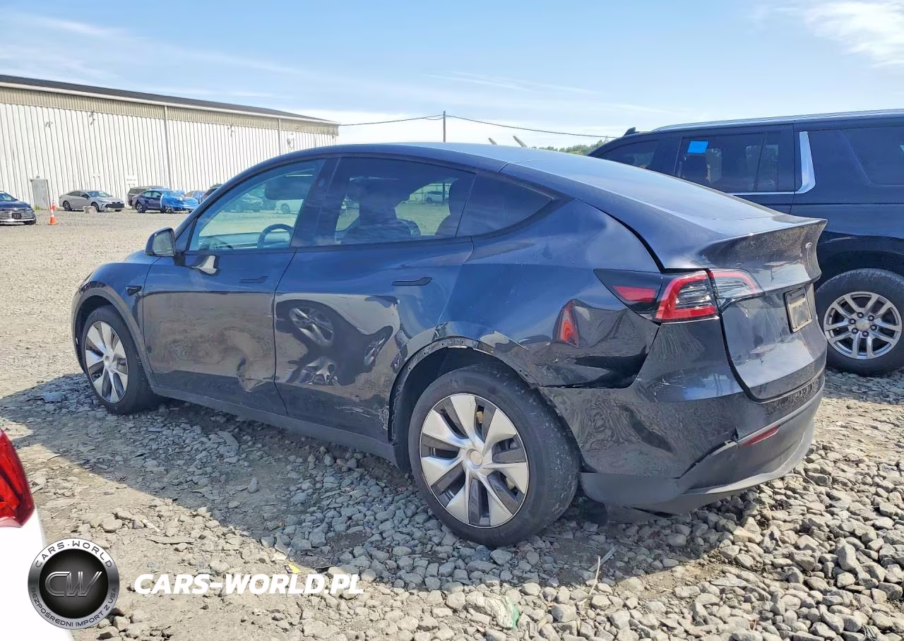 2024 Tesla Model Y VIN:7SAYGDEE8RF084984 - 2