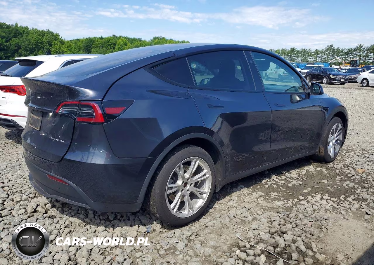 2024 Tesla Model Y VIN:7SAYGDEE8RF084984 - 3