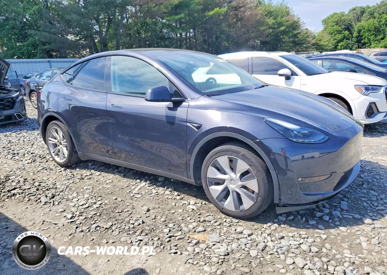 2024 Tesla Model Y VIN:7SAYGDEE8RF084984 - 4