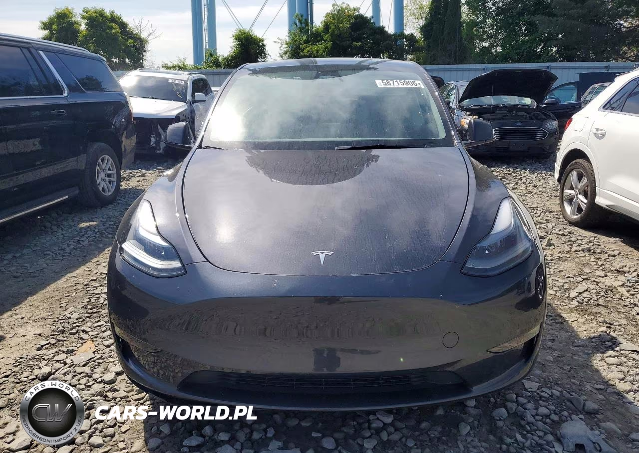 2024 Tesla Model Y VIN:7SAYGDEE8RF084984 - 5