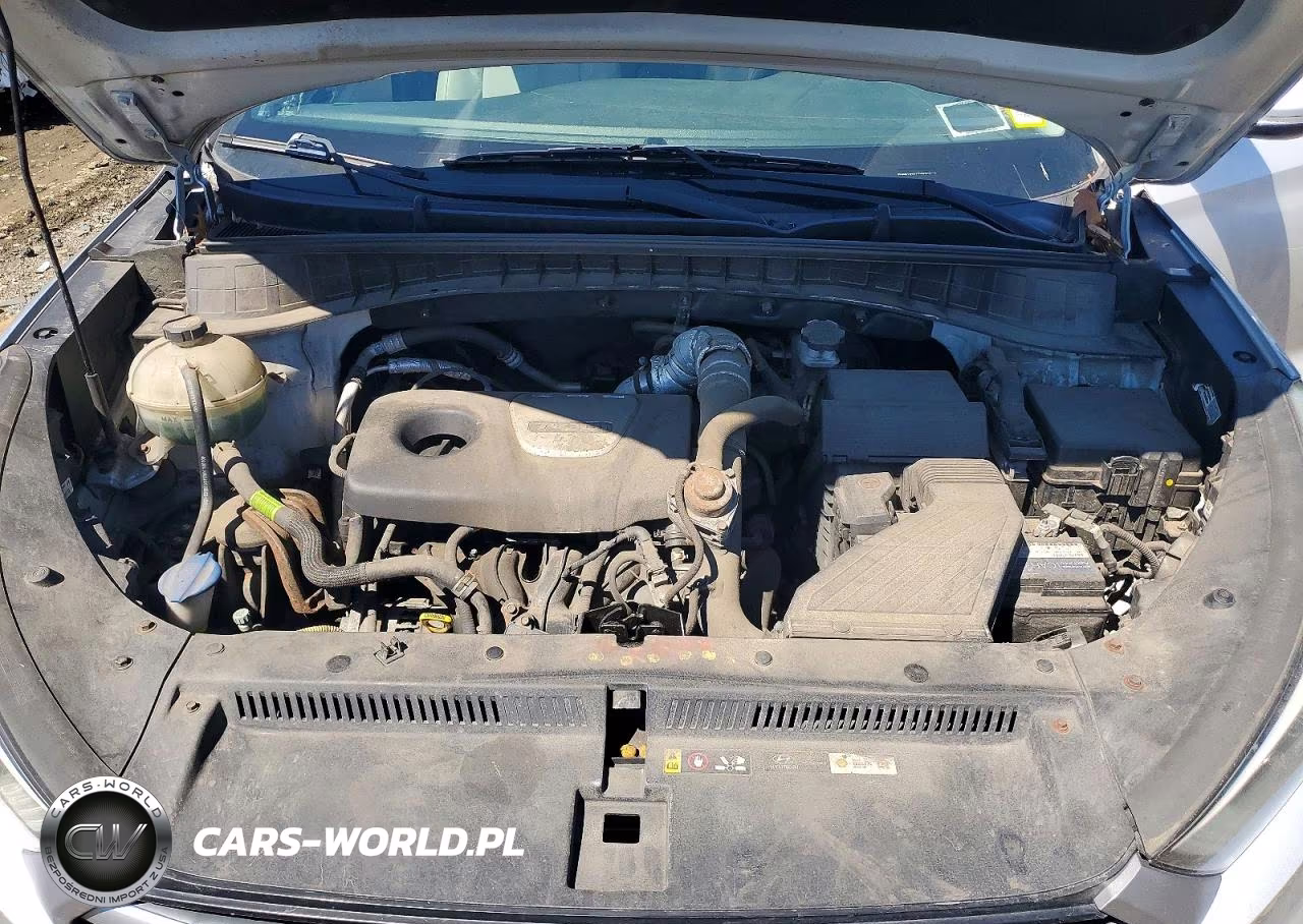 2018 Hyundai Tucson Value VIN:KM8J3CA24JU687311 - 12