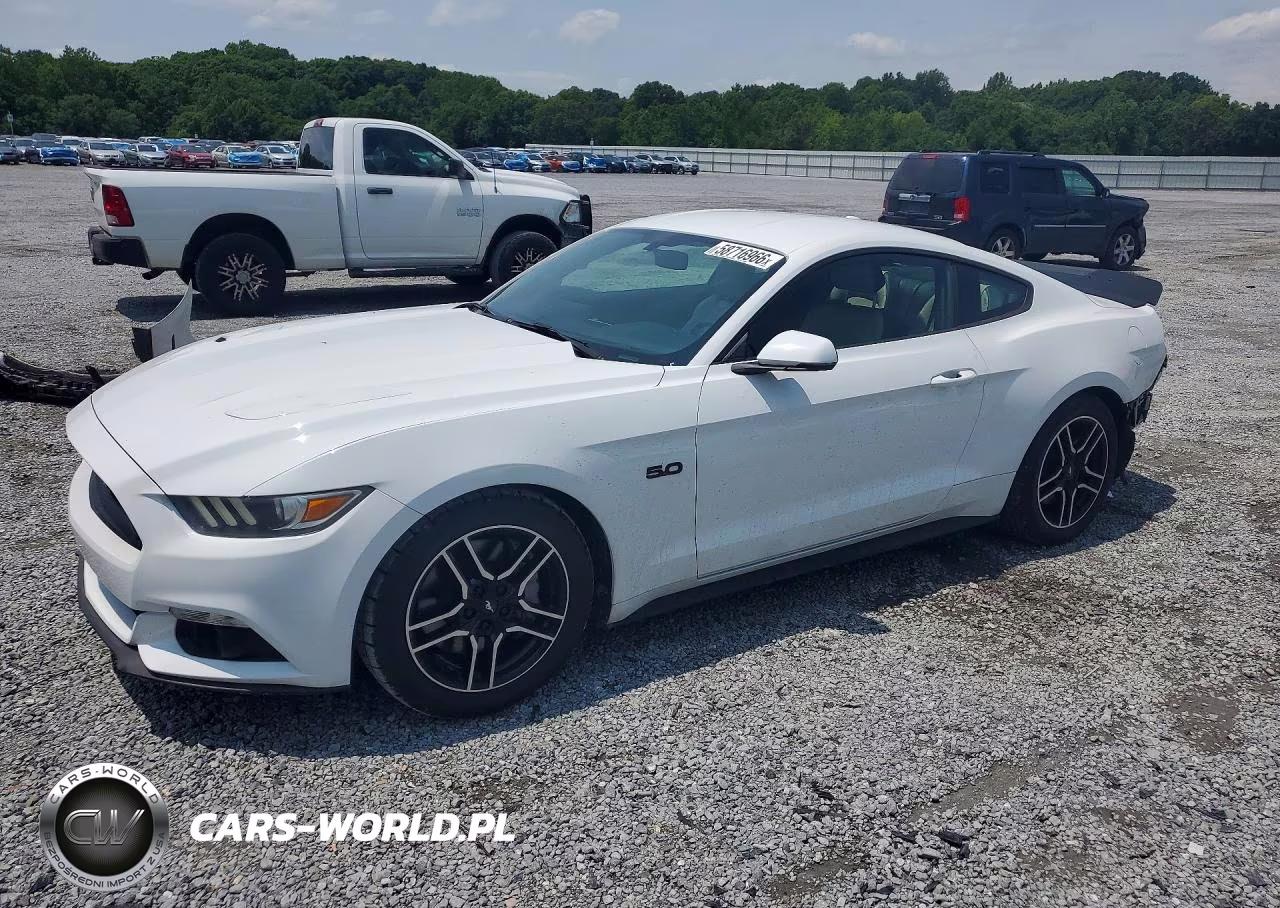 2015 Ford Mustang Gt VIN:1FA6P8CF7F5309728 - 1