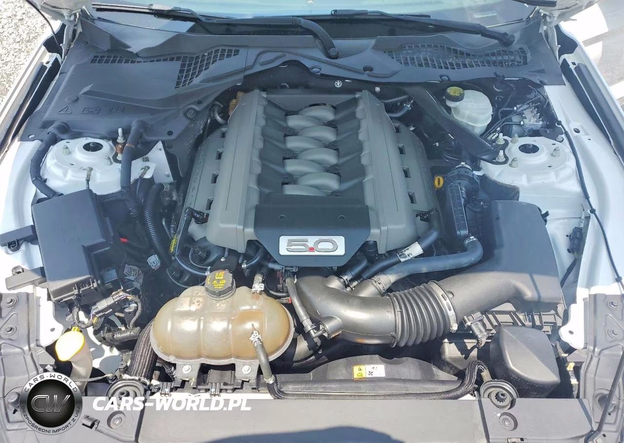 2015 Ford Mustang Gt VIN:1FA6P8CF7F5309728 - 11