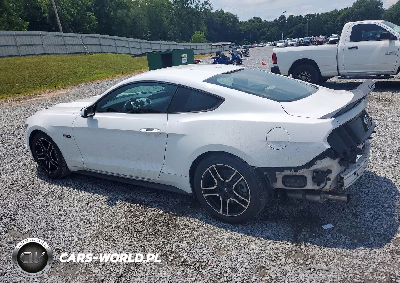 2015 Ford Mustang Gt VIN:1FA6P8CF7F5309728 - 2