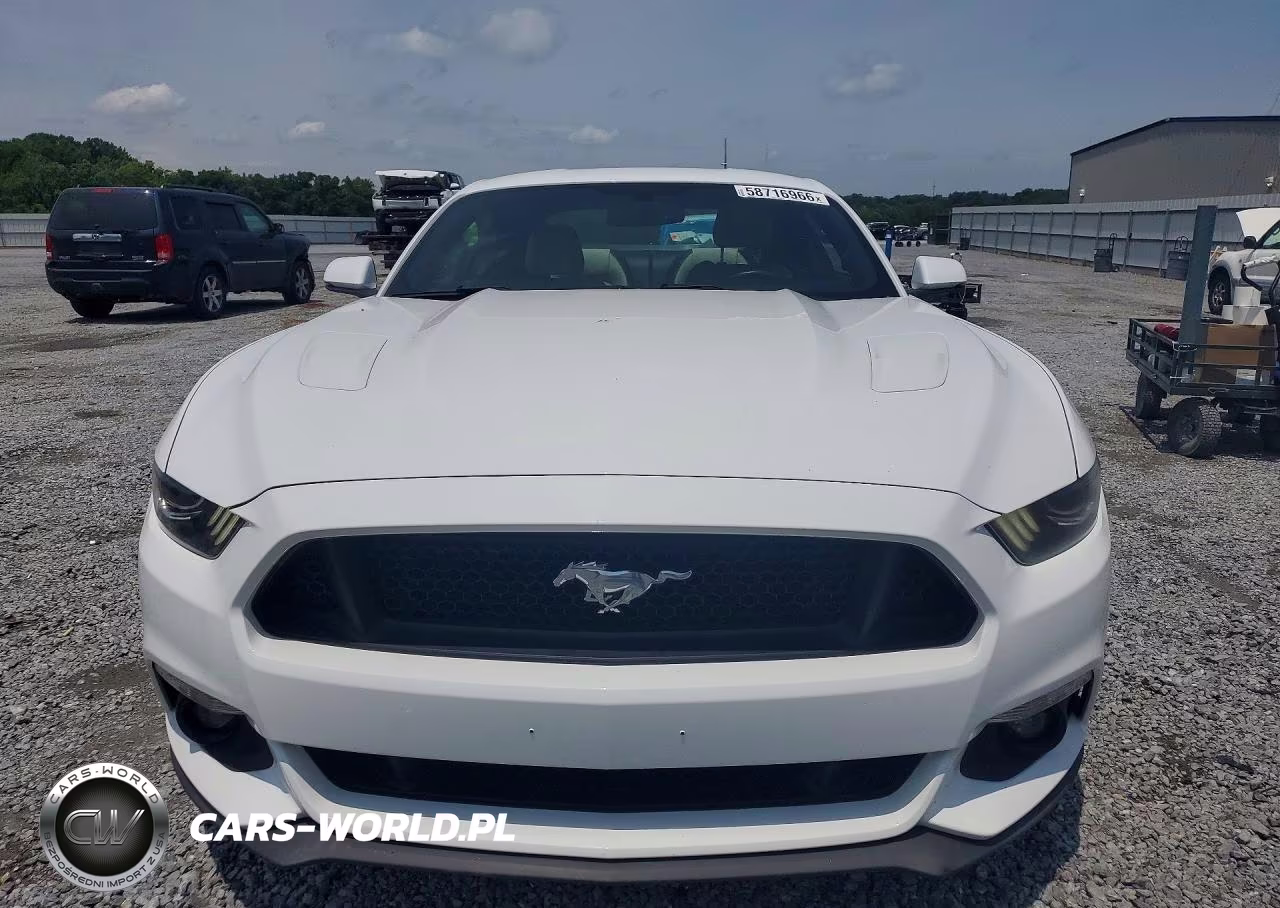 2015 Ford Mustang Gt VIN:1FA6P8CF7F5309728 - 5