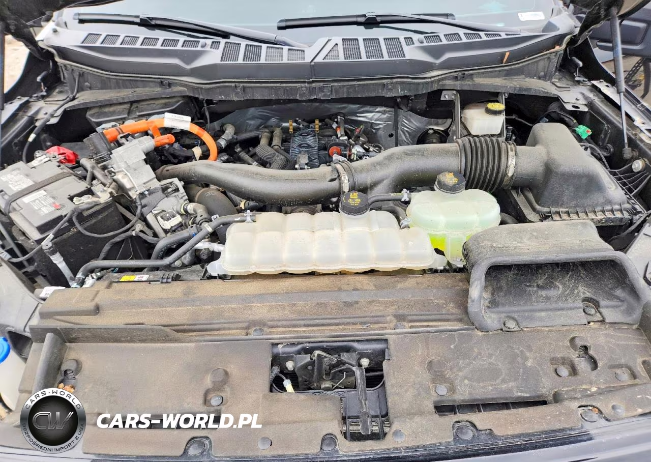 2024 Ford F150 Xlt VIN:1FTFW3LD7RFA62076 - 11