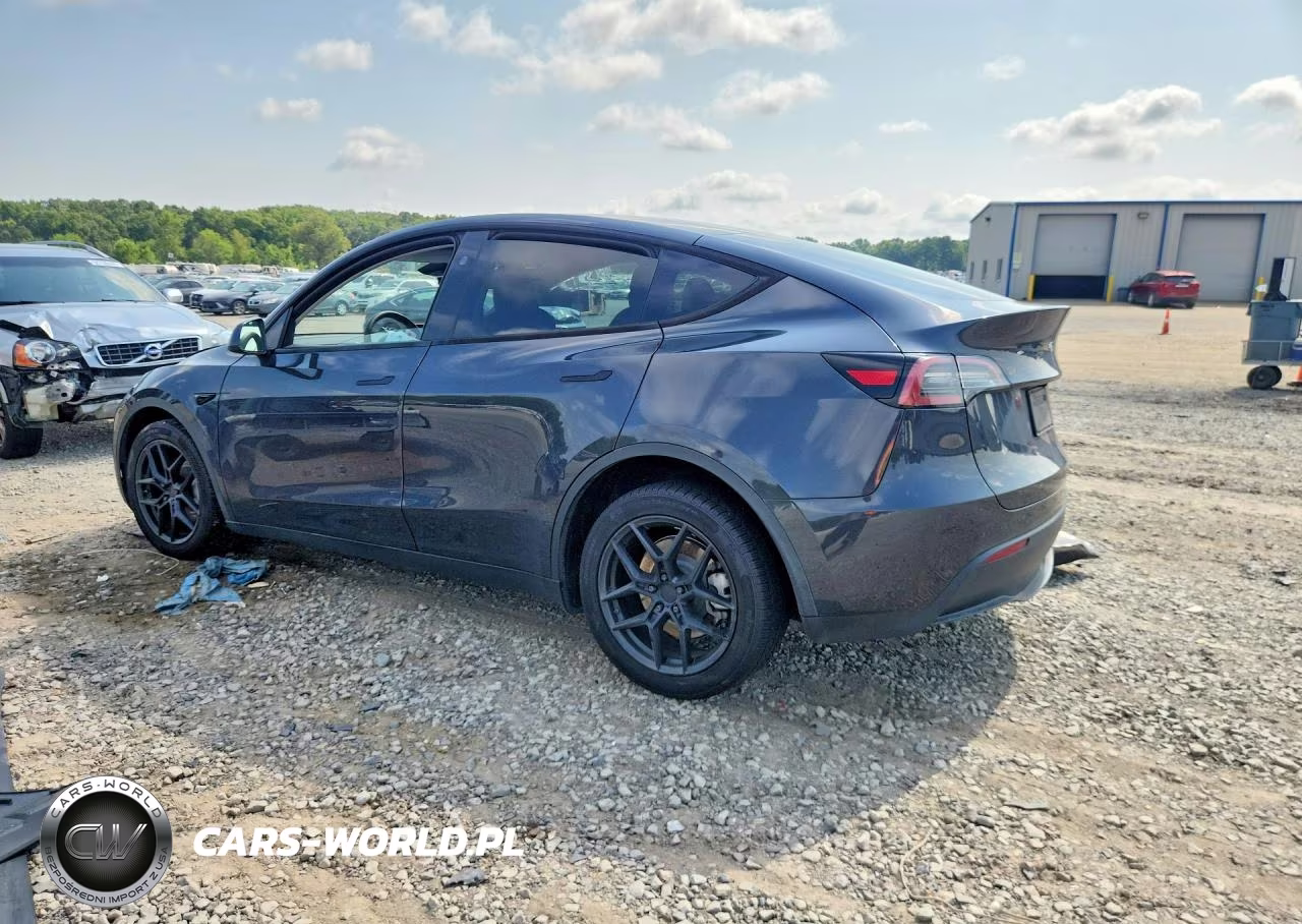 2024 Tesla Model Y VIN:7SAYGDEE3RF993411 - 2