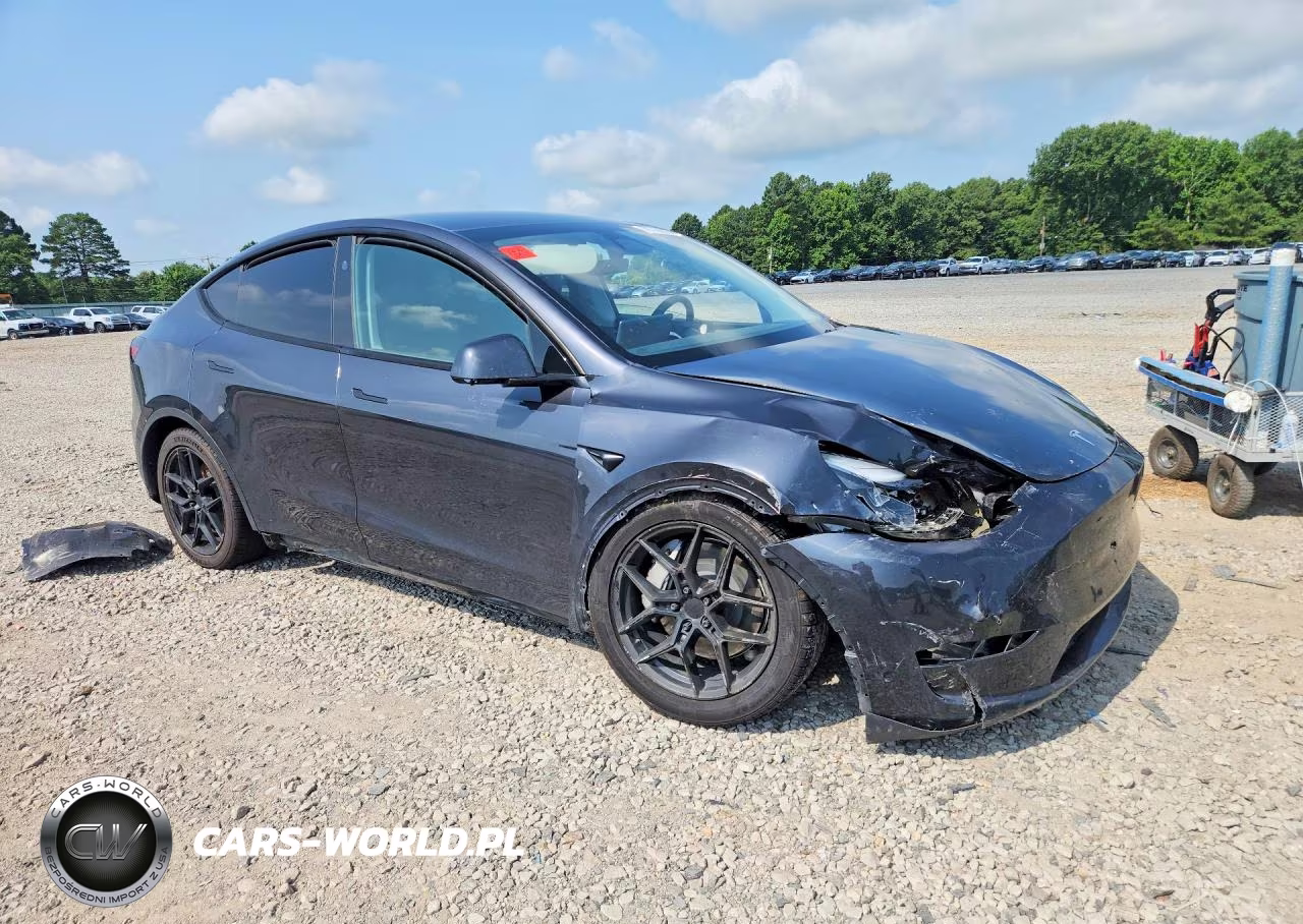 2024 Tesla Model Y VIN:7SAYGDEE3RF993411 - 4