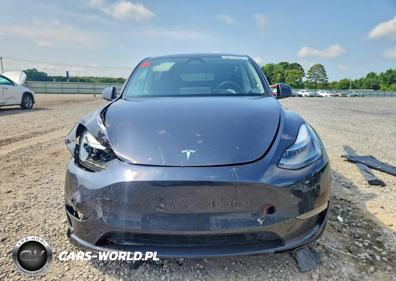 2024 Tesla Model Y VIN:7SAYGDEE3RF993411 - 5