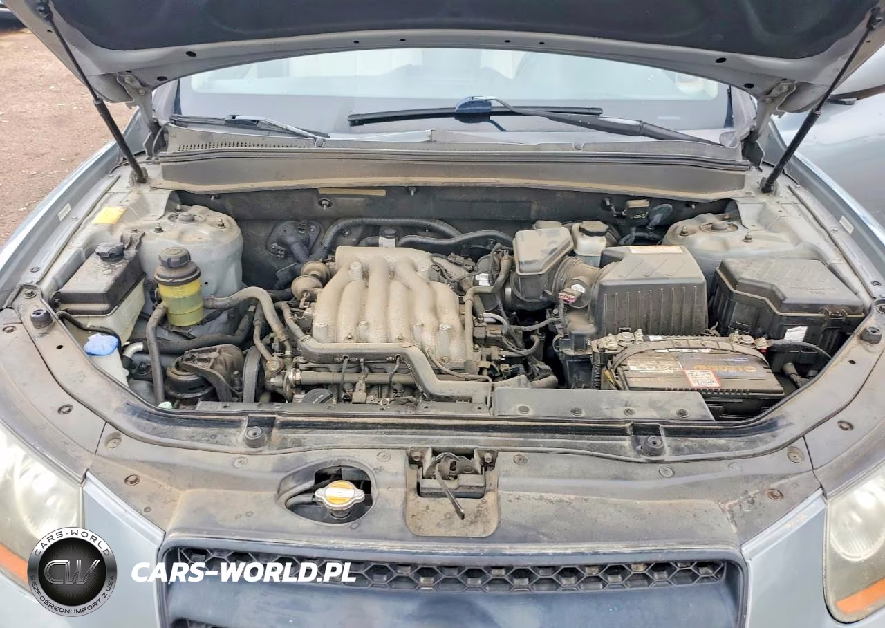 2008 Hyundai Santa Fe Gls VIN:5NMSG73DX8H201184 - 11