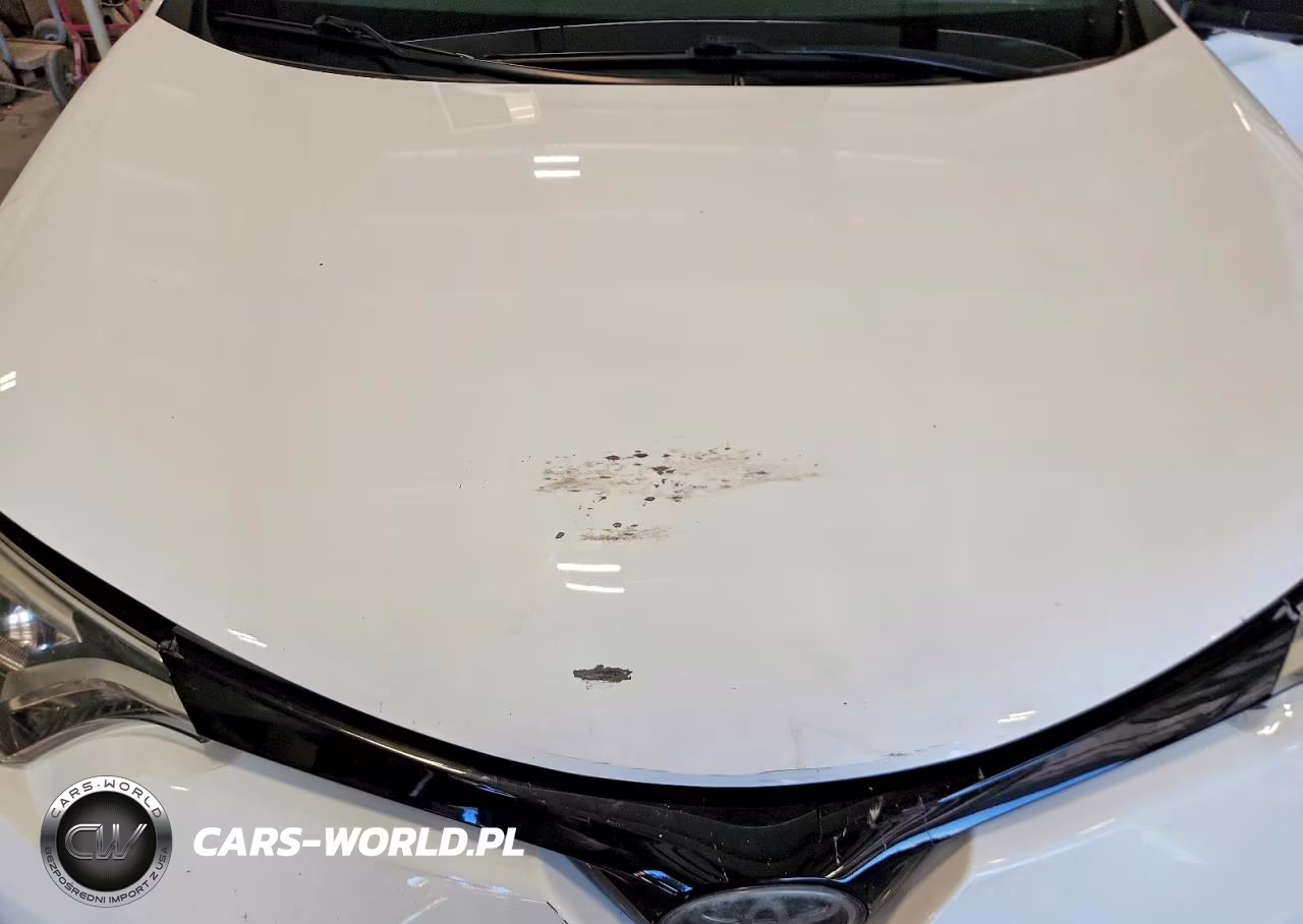 2016 Toyota Rav4 Se VIN:2T3JFREV4GW423438 - 11