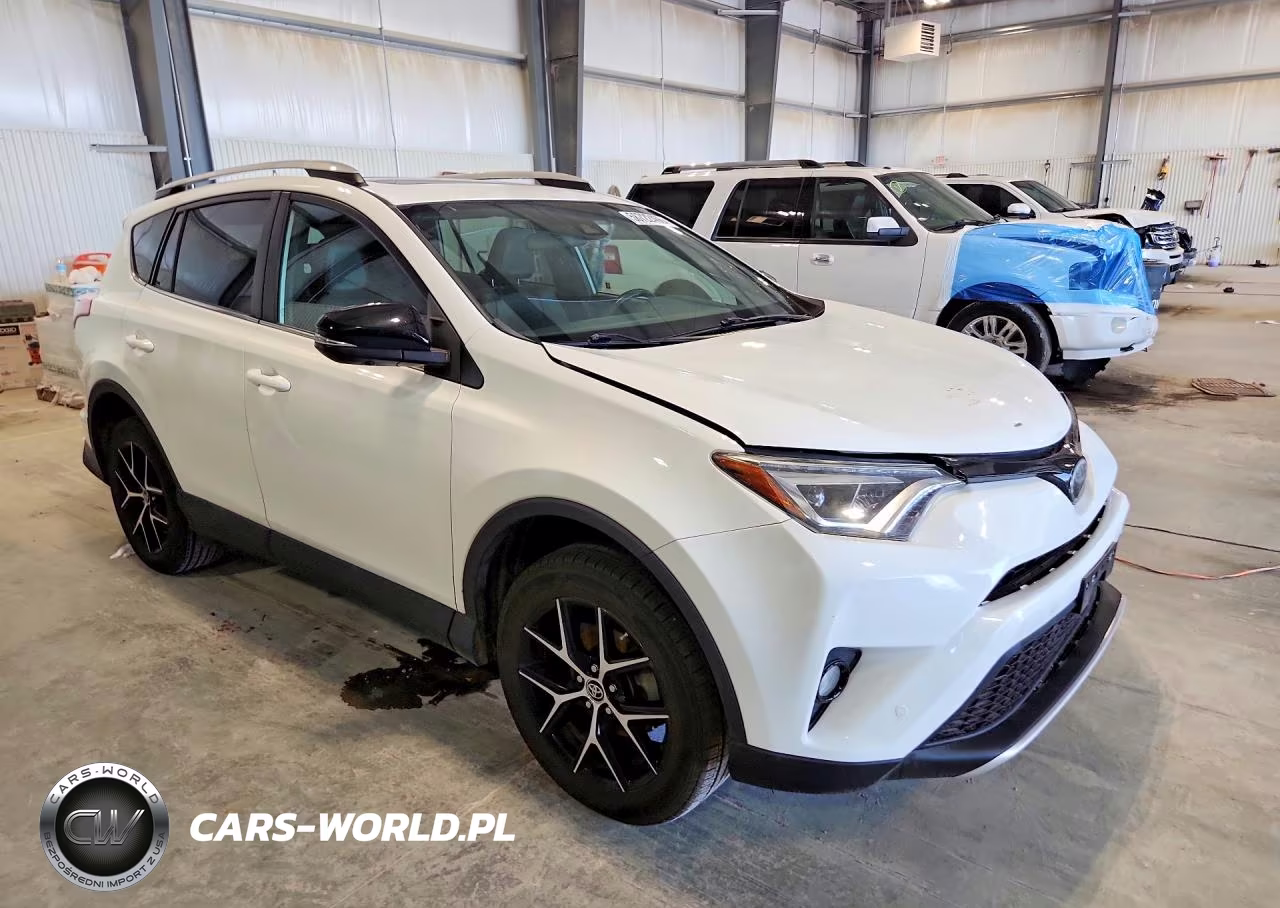 2016 Toyota Rav4 Se VIN:2T3JFREV4GW423438 - 4